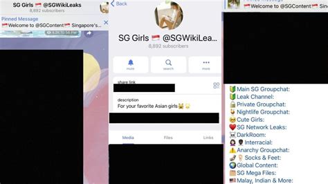 sg mega leaks|Police probe Telegram chat groups suspected of。